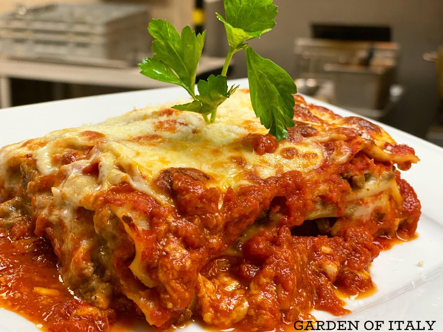 Garden of Italy 101-2763 Sunridge Way NE, Calgary