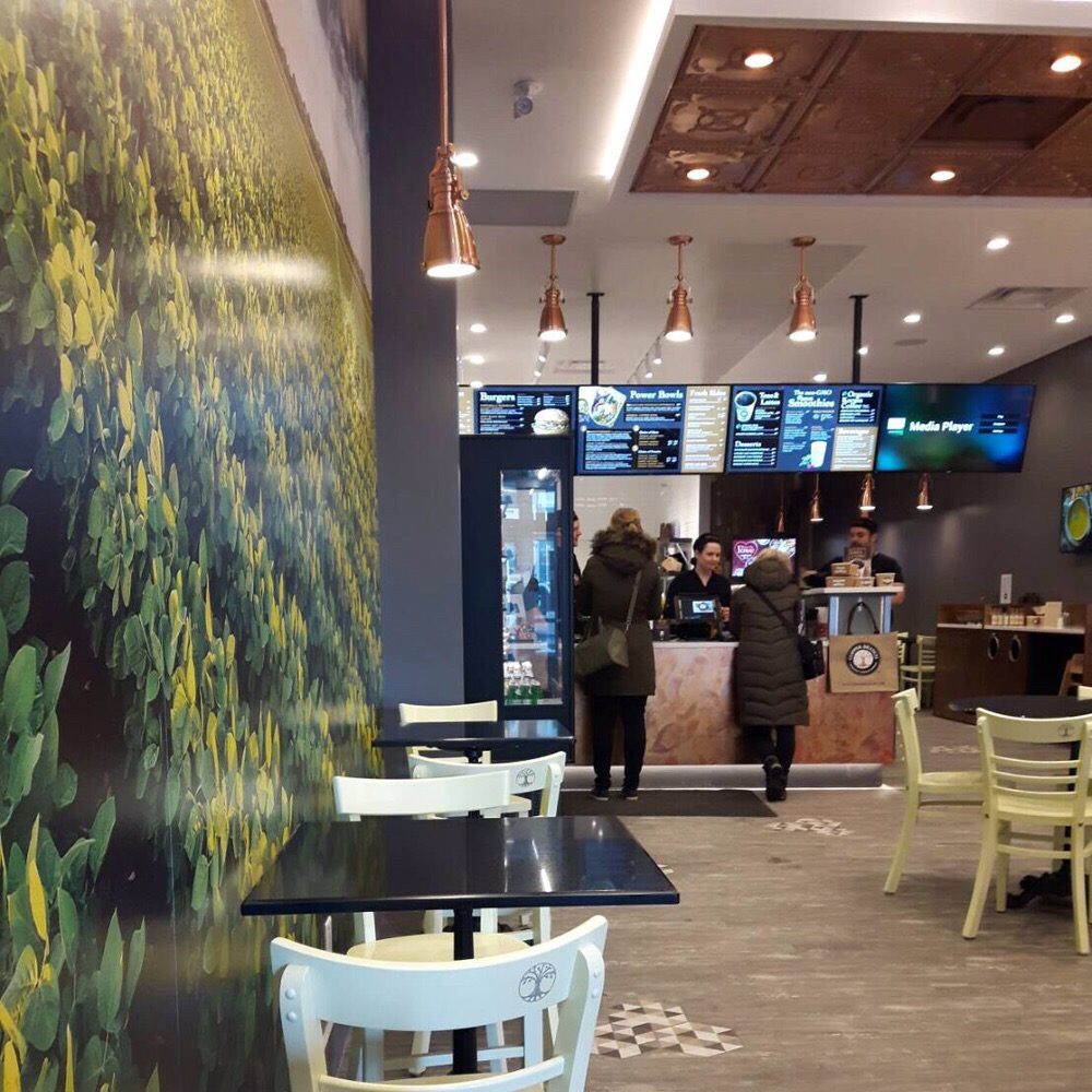 Copper Branch 10316 Jasper Ave, Edmonton