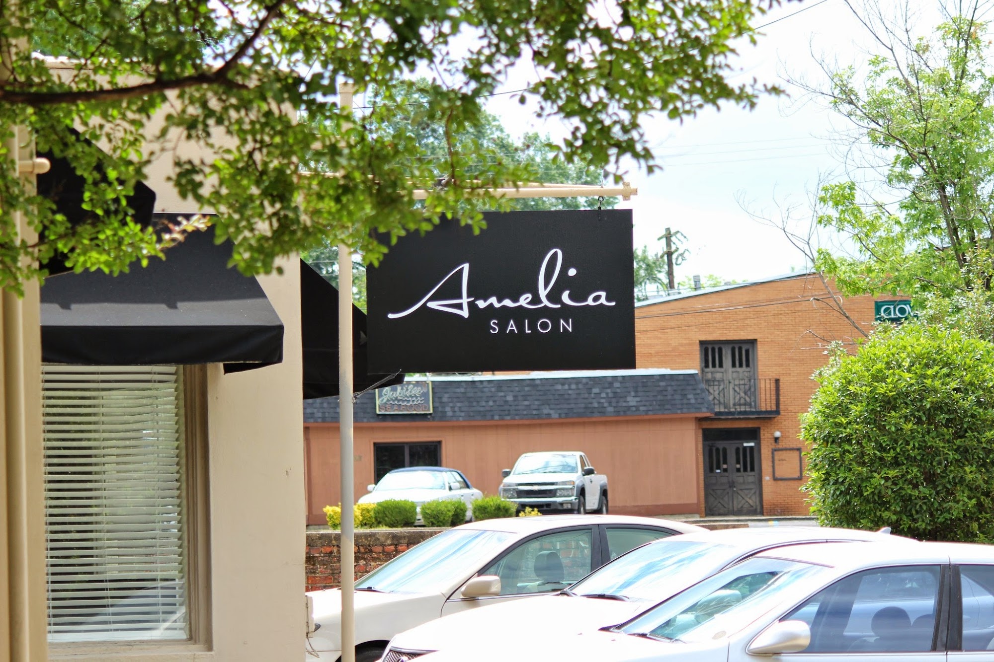 Amelia Salon