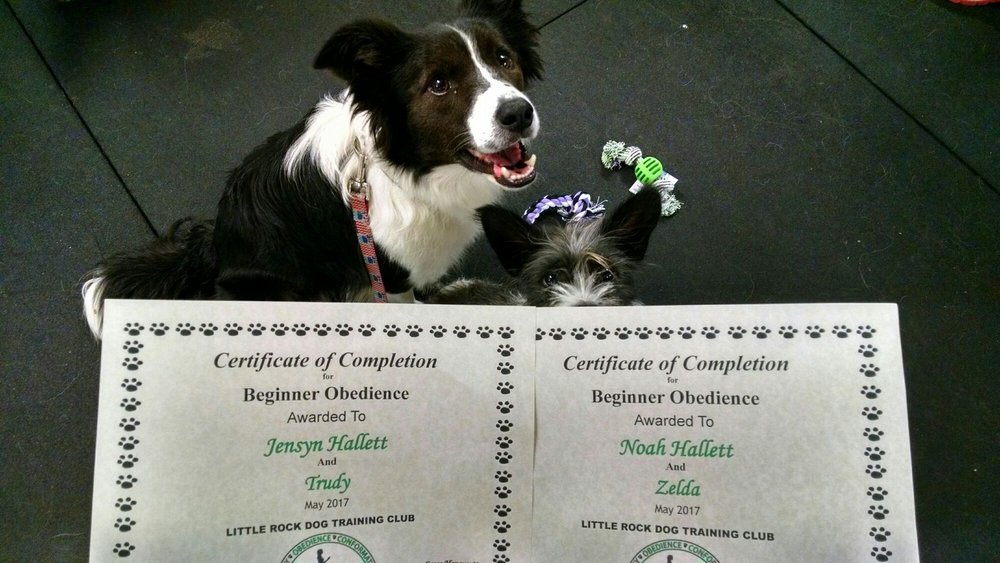 Little Rock Dog Training Club Little Rock
