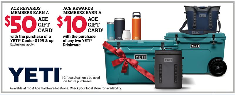 Ace Hardware Chandler