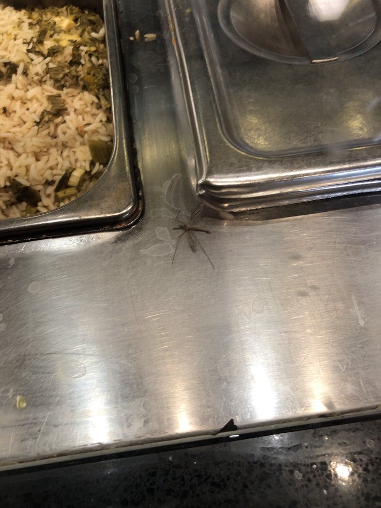 Cafe Rio Mexican Grill 2904 S Santan Village Pkwy, Gilbert