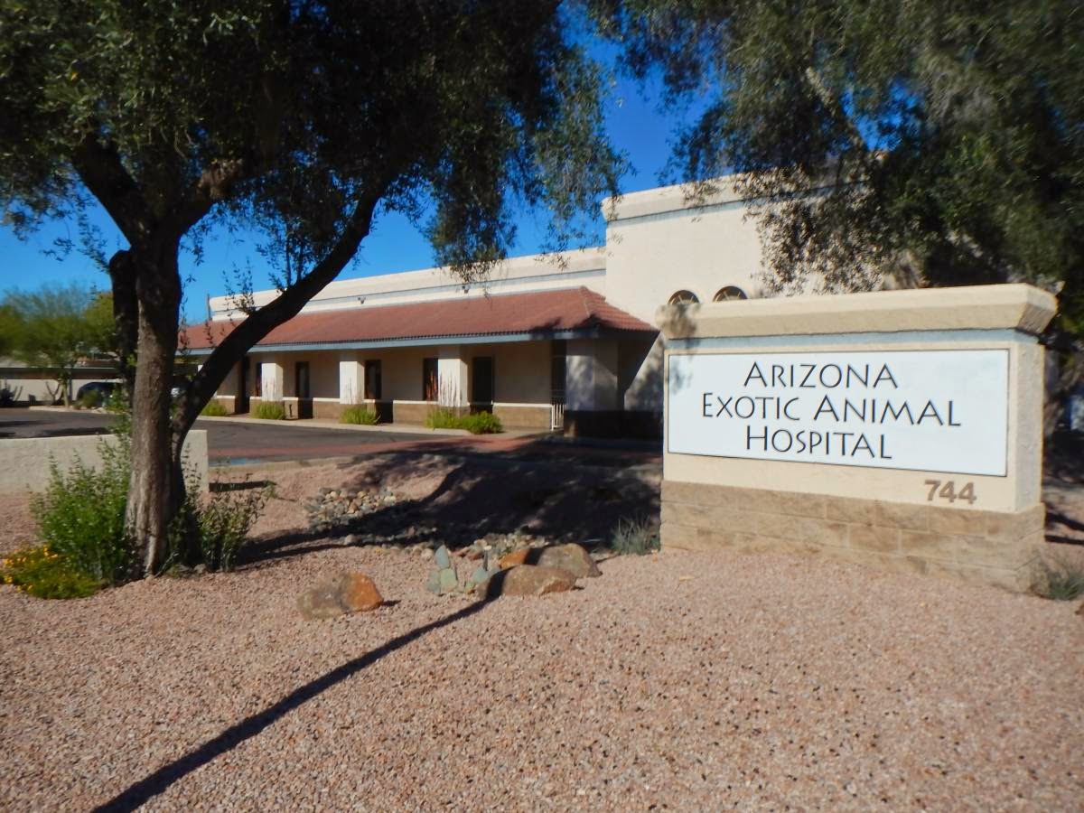 Arizona Exotic Animal Hospital (Mesa)