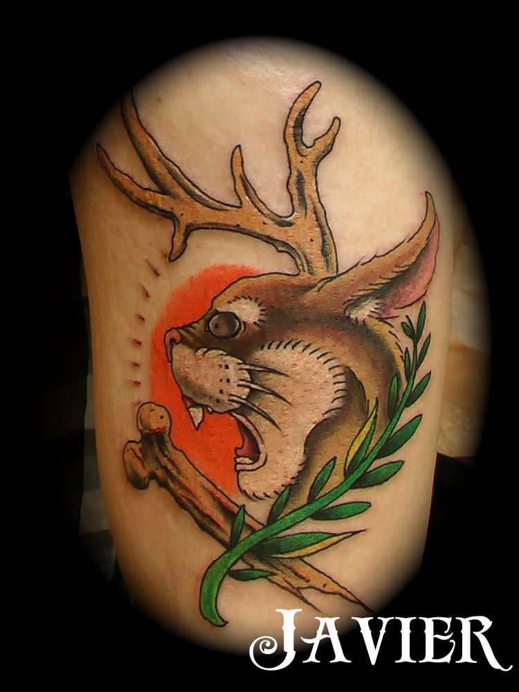 Photo credit: 
