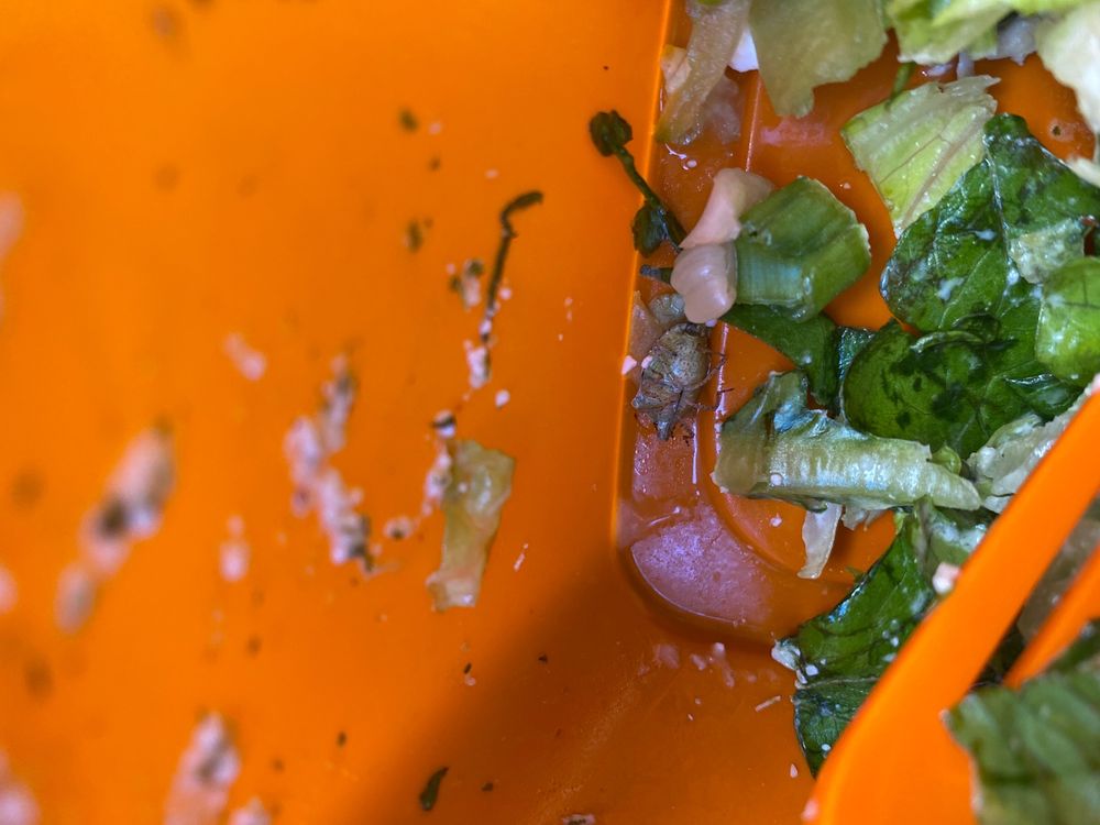 Salad and Go | Healthy Drive Thru 719 E Bethany Home Rd, Phoenix