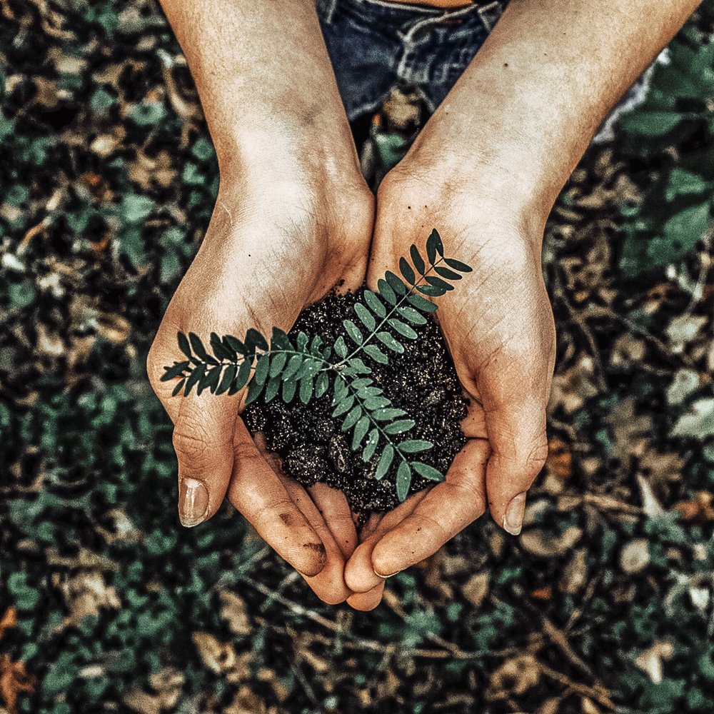 Photo credit: 