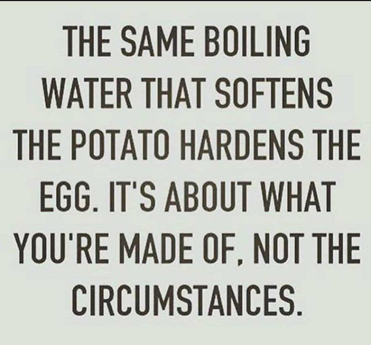 Modern Day Forager Mercentile Menu