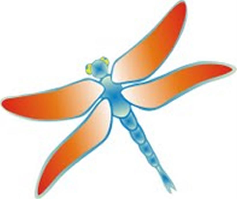 Dragonfly Electrolysis