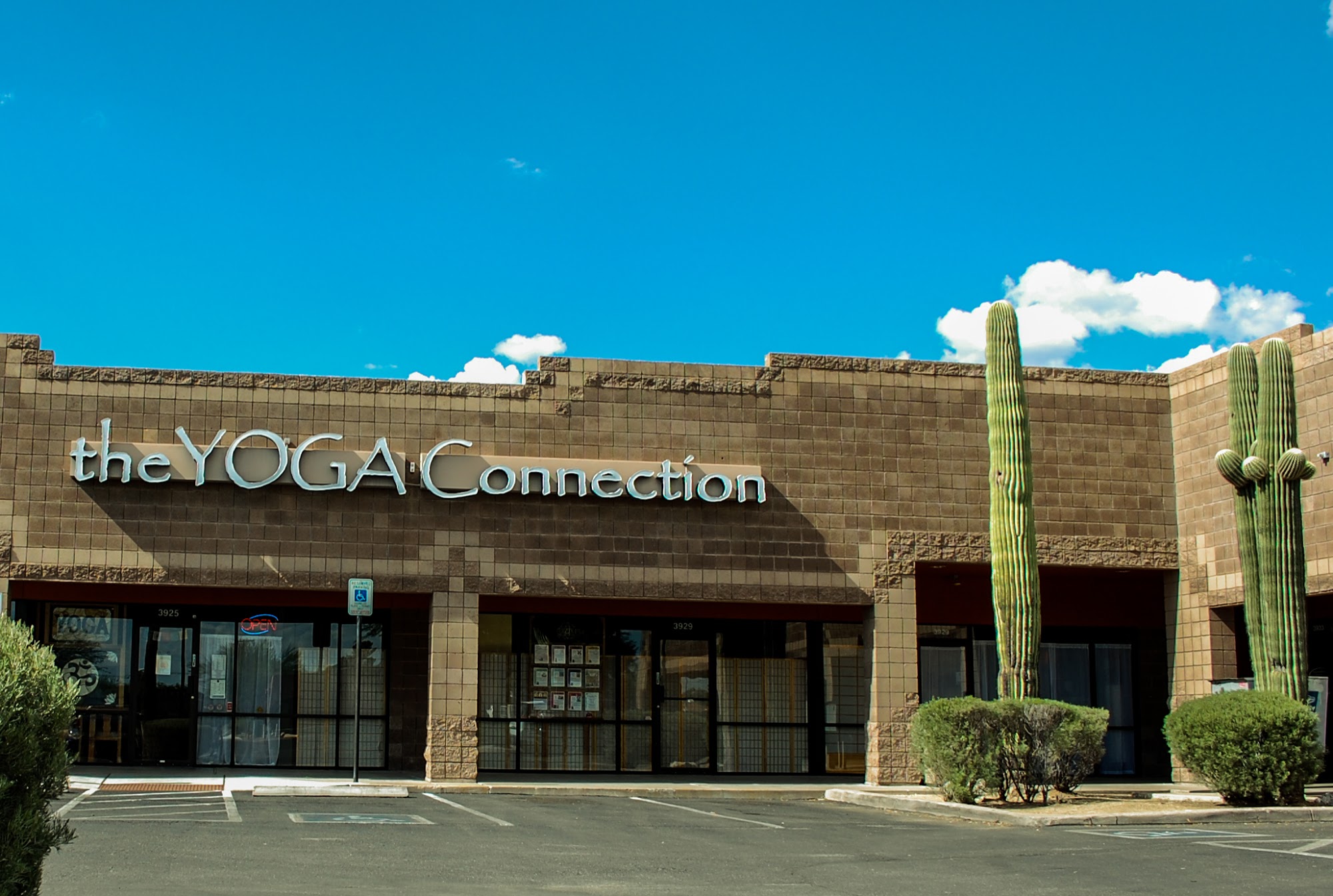 The Yoga Connection