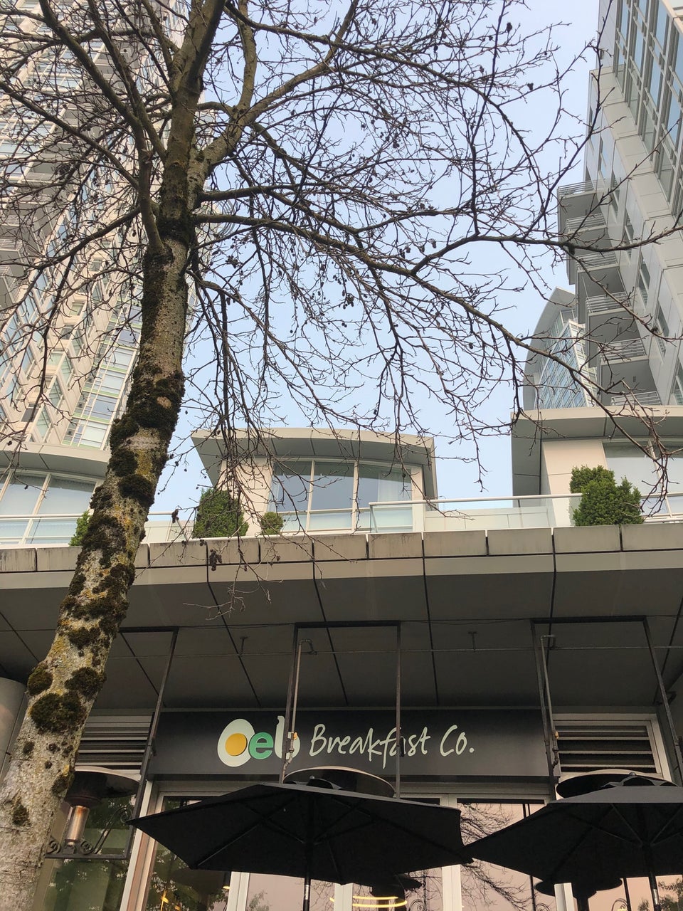 OEB Breakfast Co. 1137 Marinaside Crescent, Vancouver