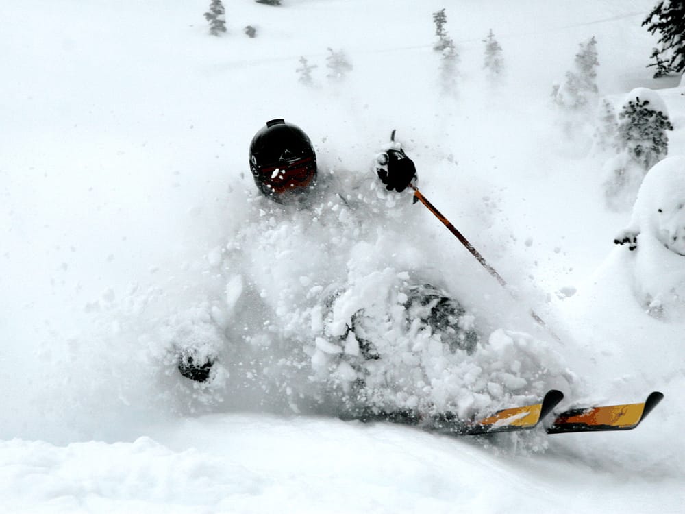 Photo credit: 