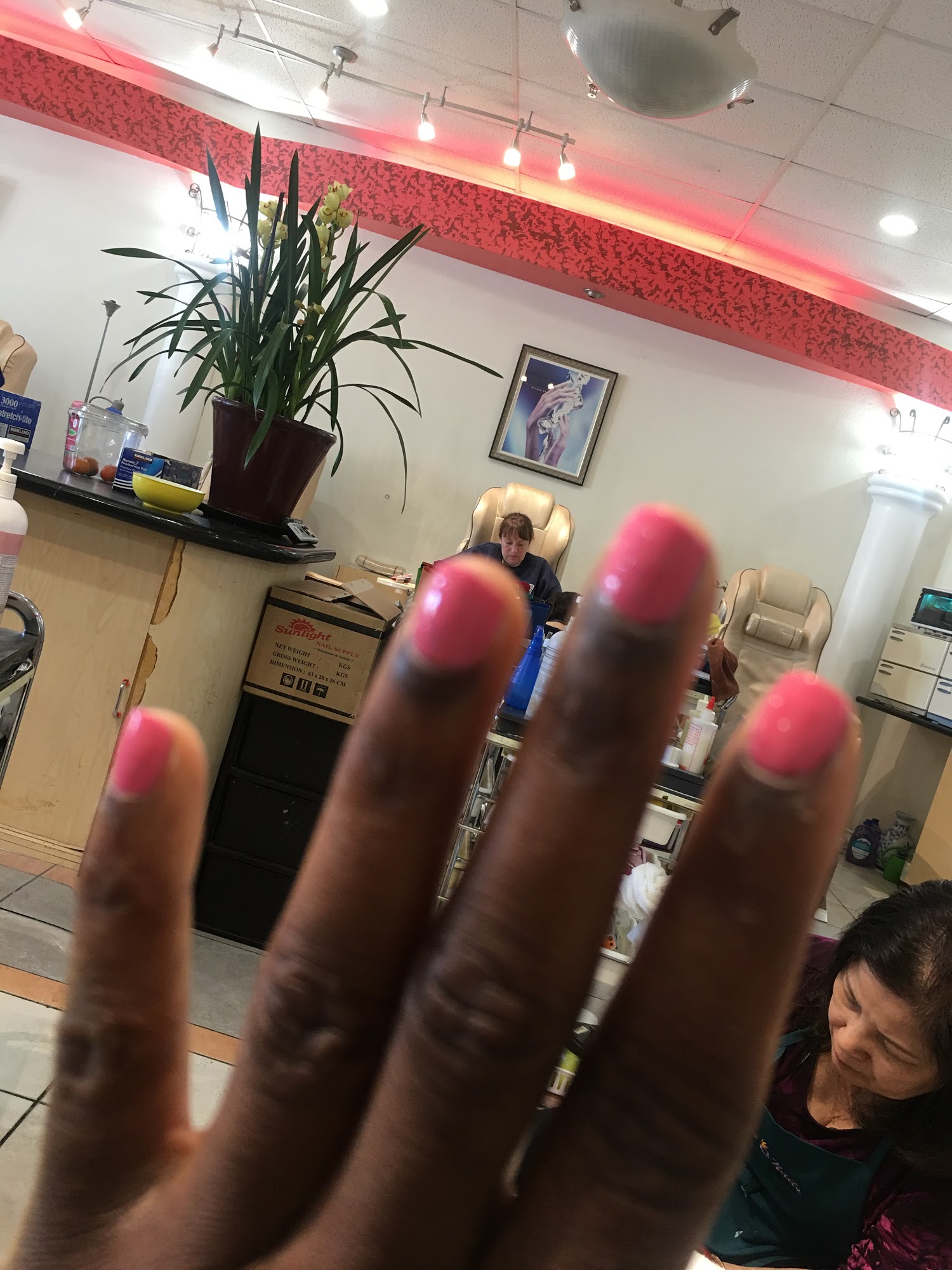 Color Nails and Spa