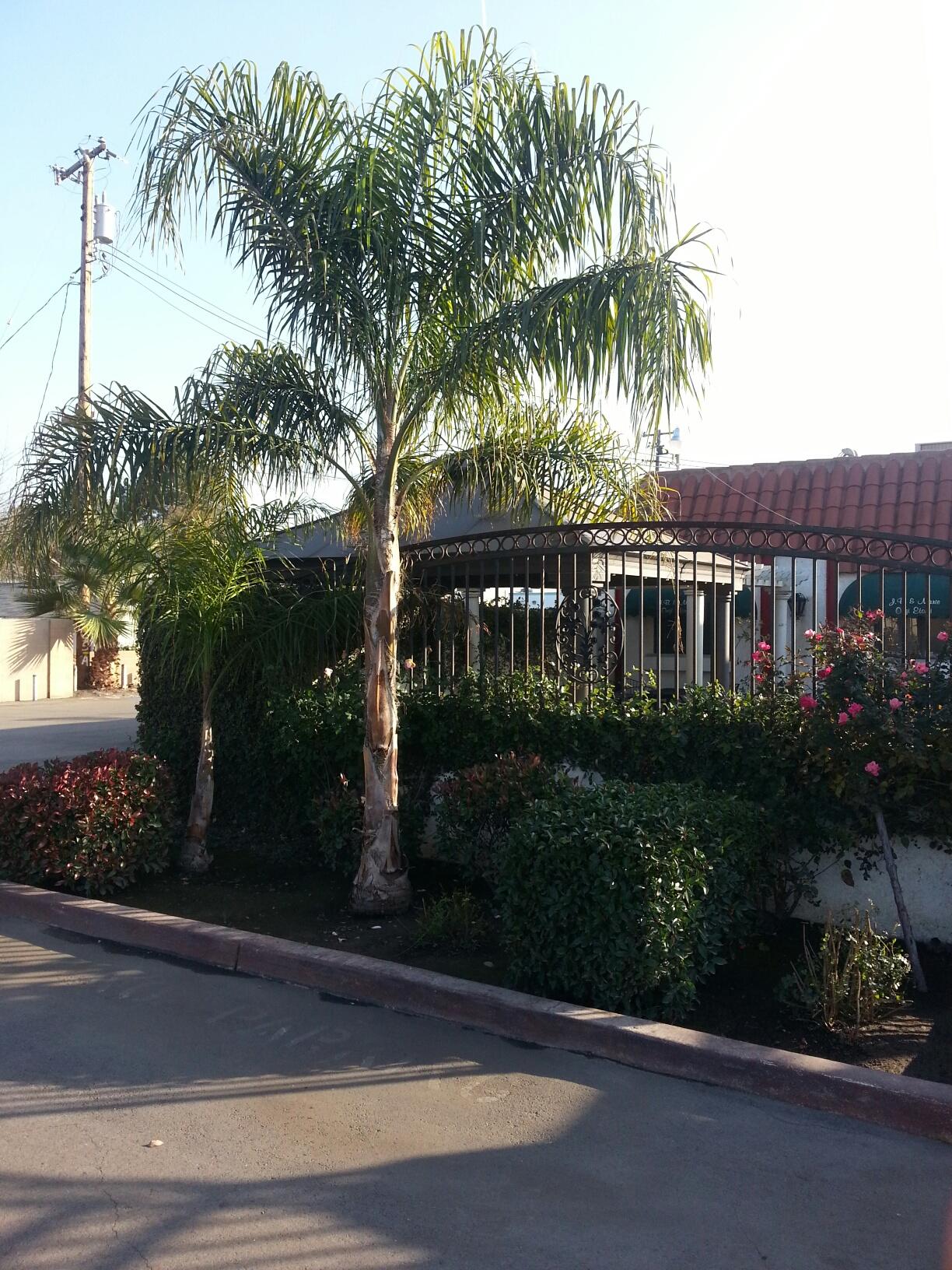 Photo credit: yellowpages