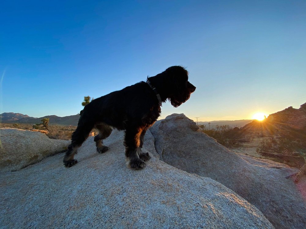 Photo credit: 