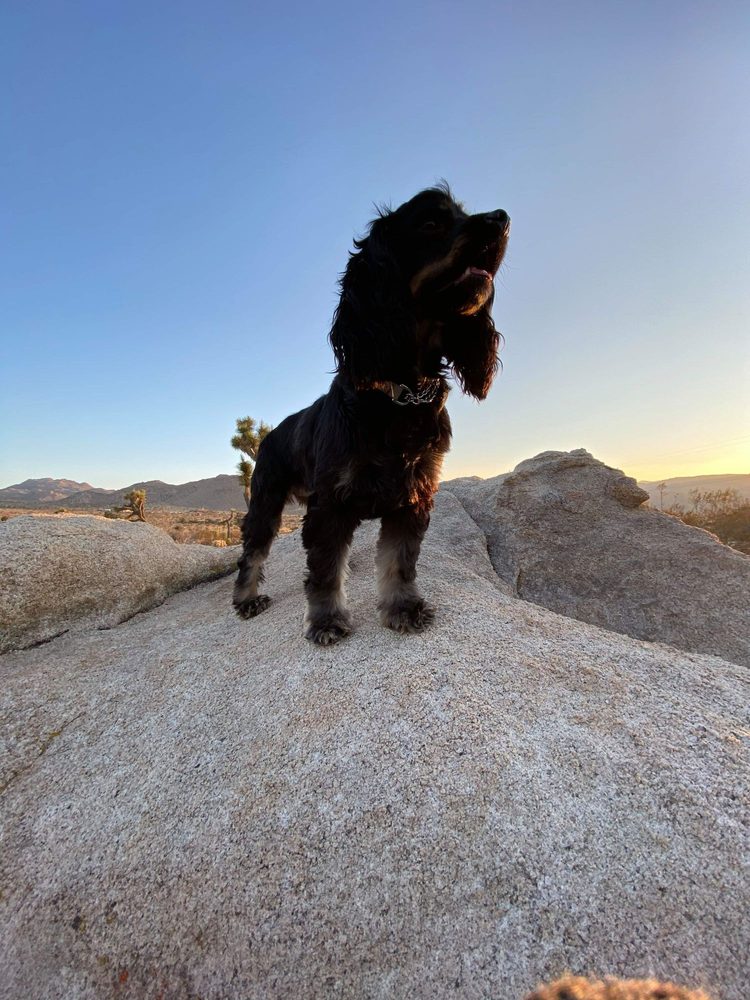 Photo credit: 