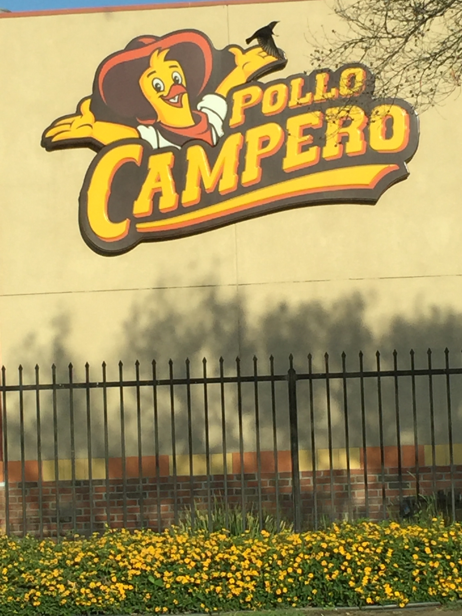 Photo credit: yellowpages