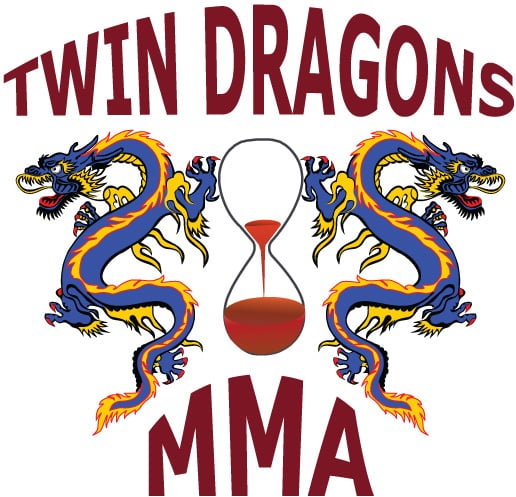 Twin Dragons Martial Arts