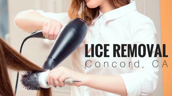 Comb It Out Lice Removal Salon