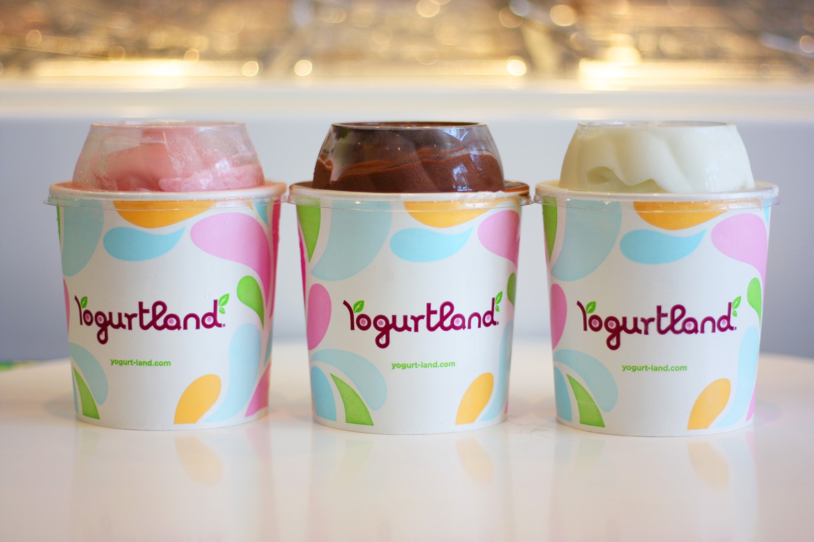 Yogurtland 277 E 17th St, Costa Mesa