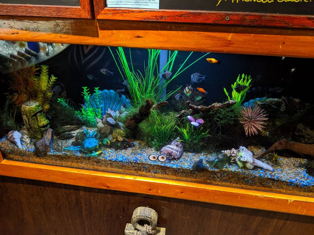Catalina Fish Kitchen 670 W 17th St, Costa Mesa