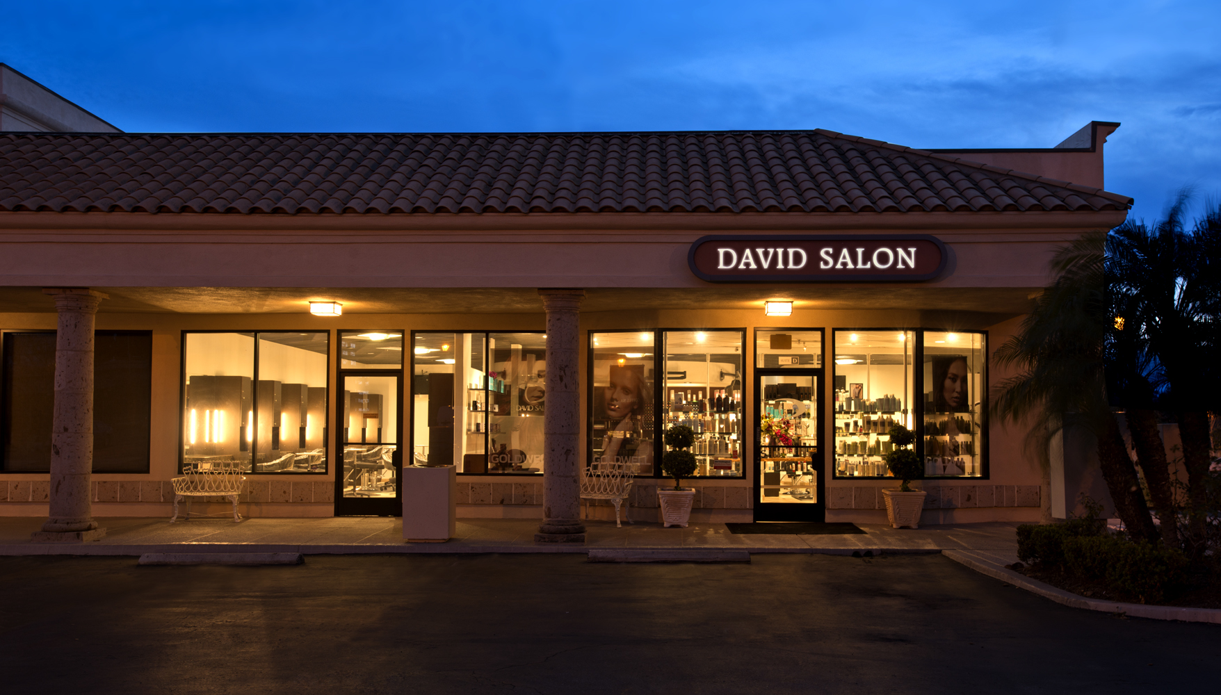 The David Salon