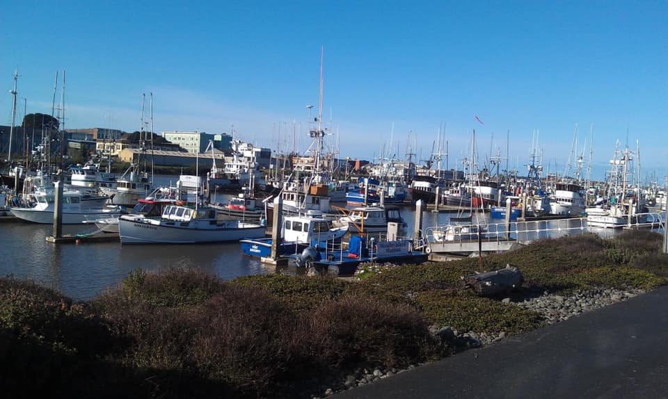 Café Marina & Woodley's Bar 601 Startare Dr, Eureka