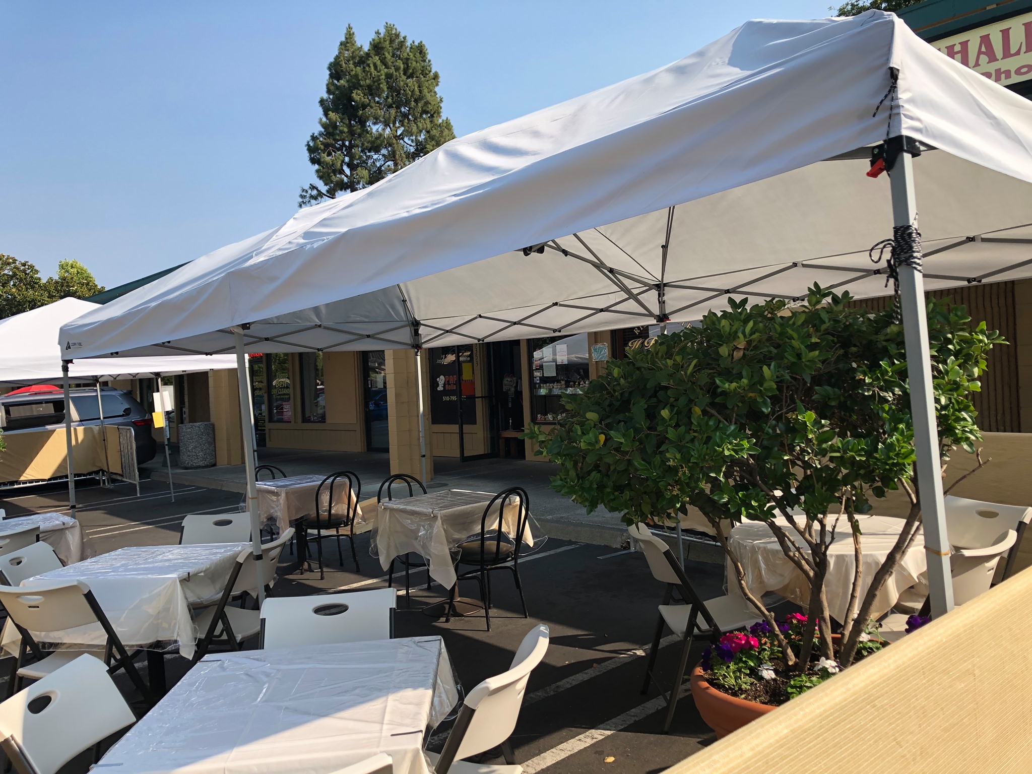 Ristorante IL Porcino 3339 Walnut Ave, Fremont