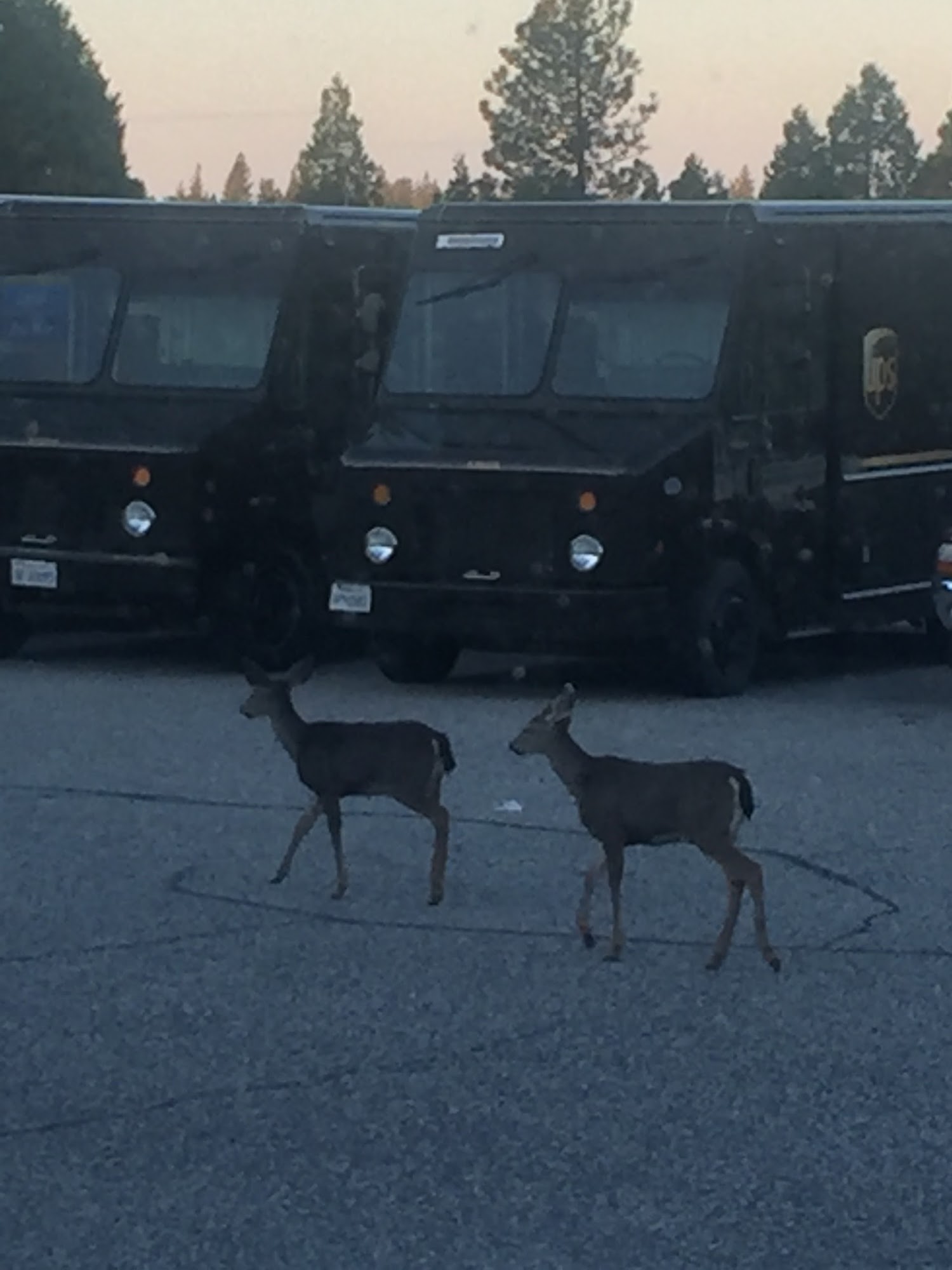 UPS Customer Center