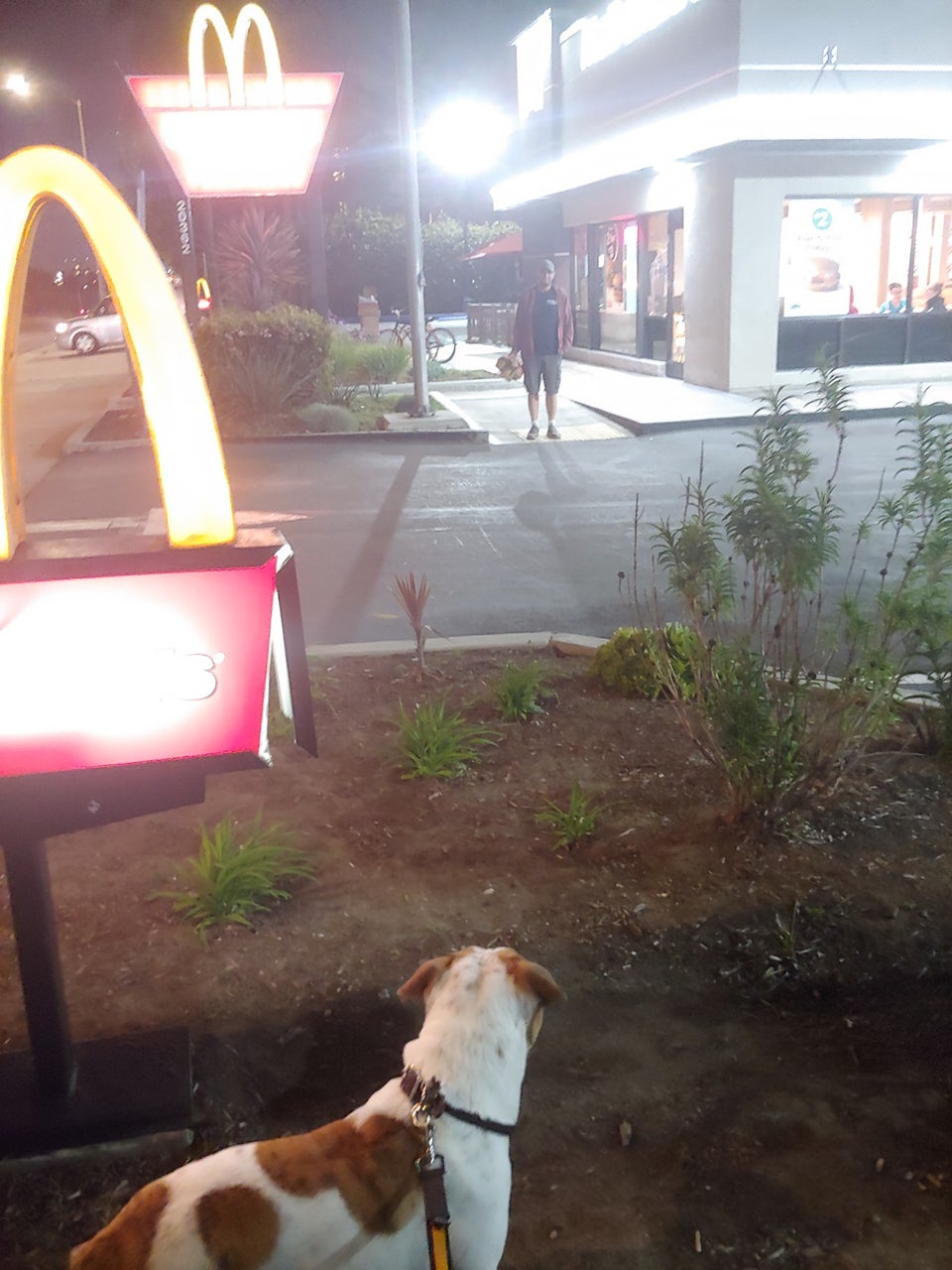 McDonald's Huntington Beach