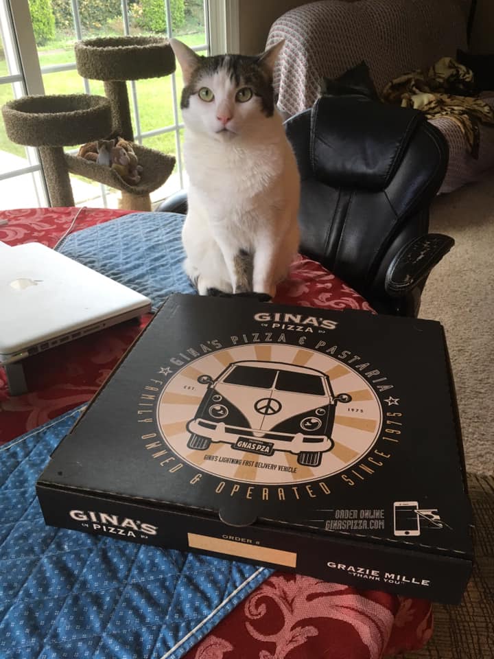 Gina's Pizza 4533 Campus Dr, Irvine