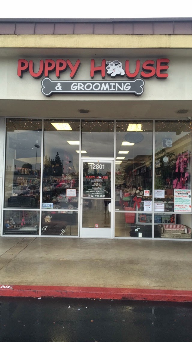 Puppy House & Grooming