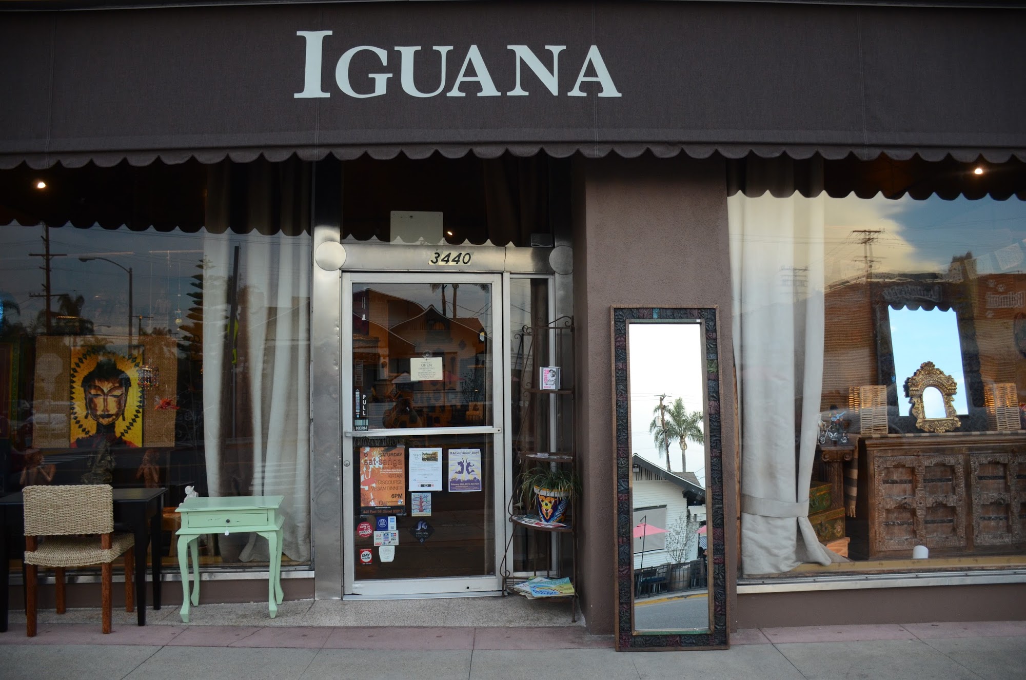 Iguana Import Gallery