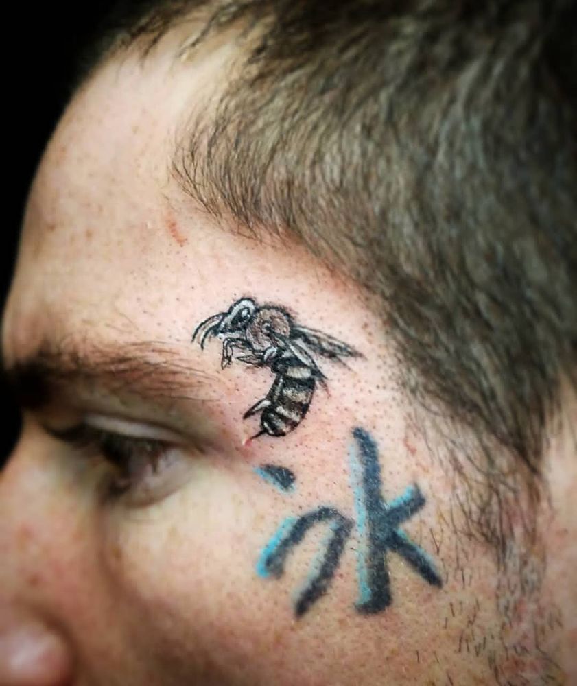 Photo credit: 