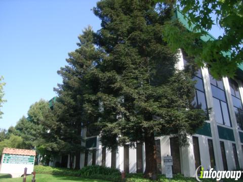 Speed Healing Center