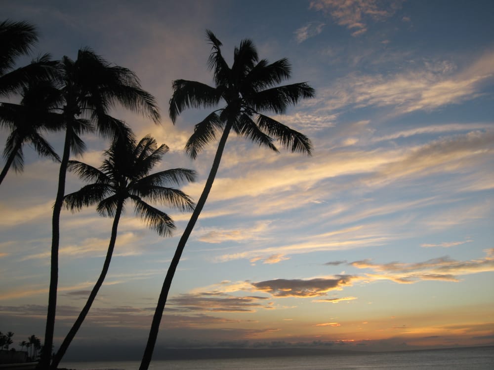 Rejuvenation Massage Therapy