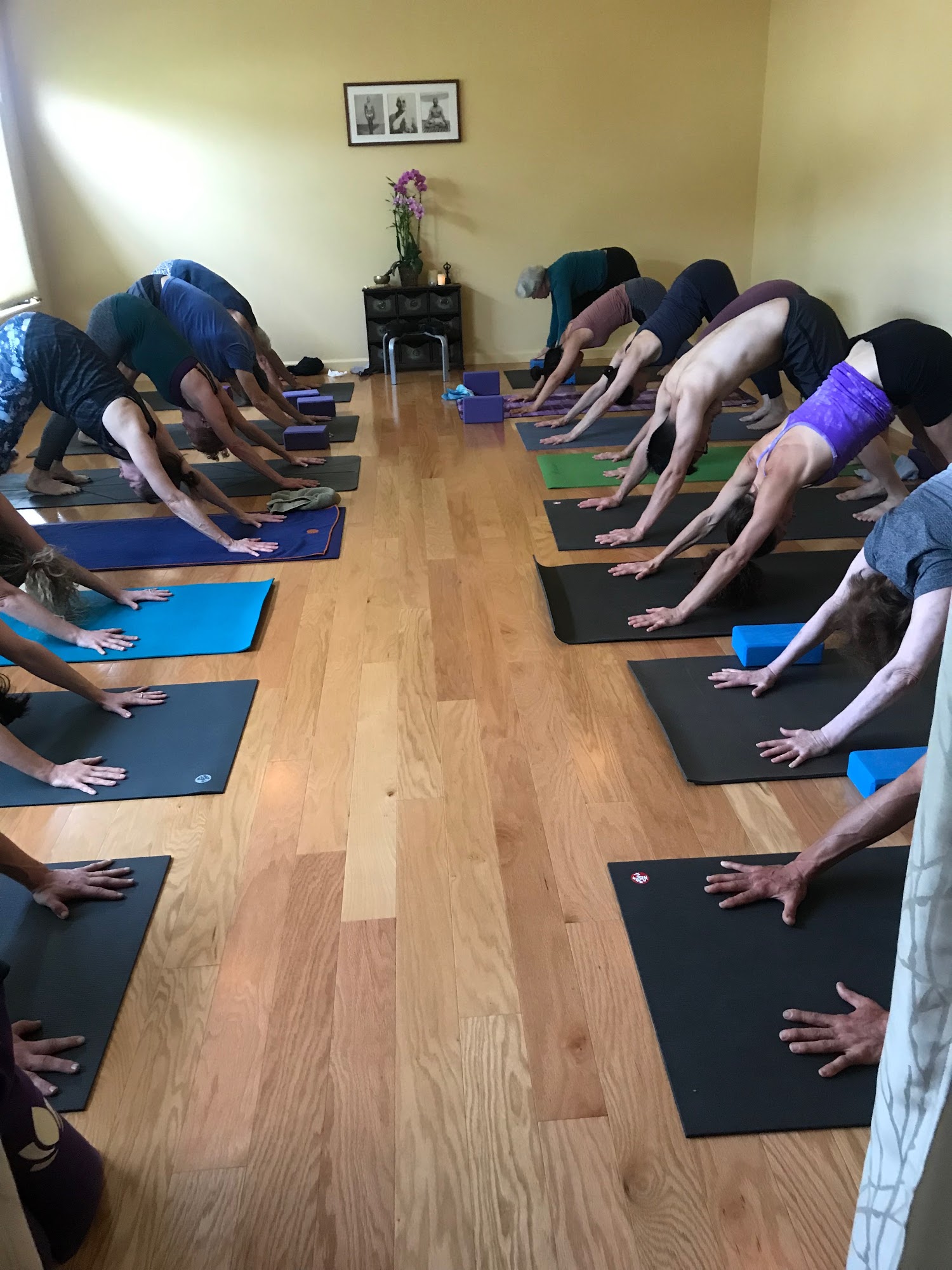 Ashtanga Yoga Monterey