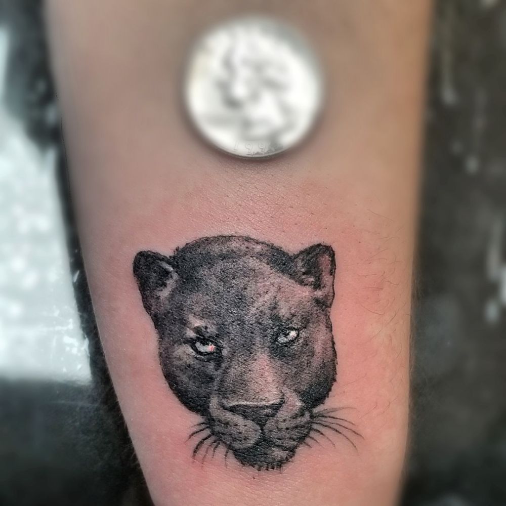 Photo credit: 