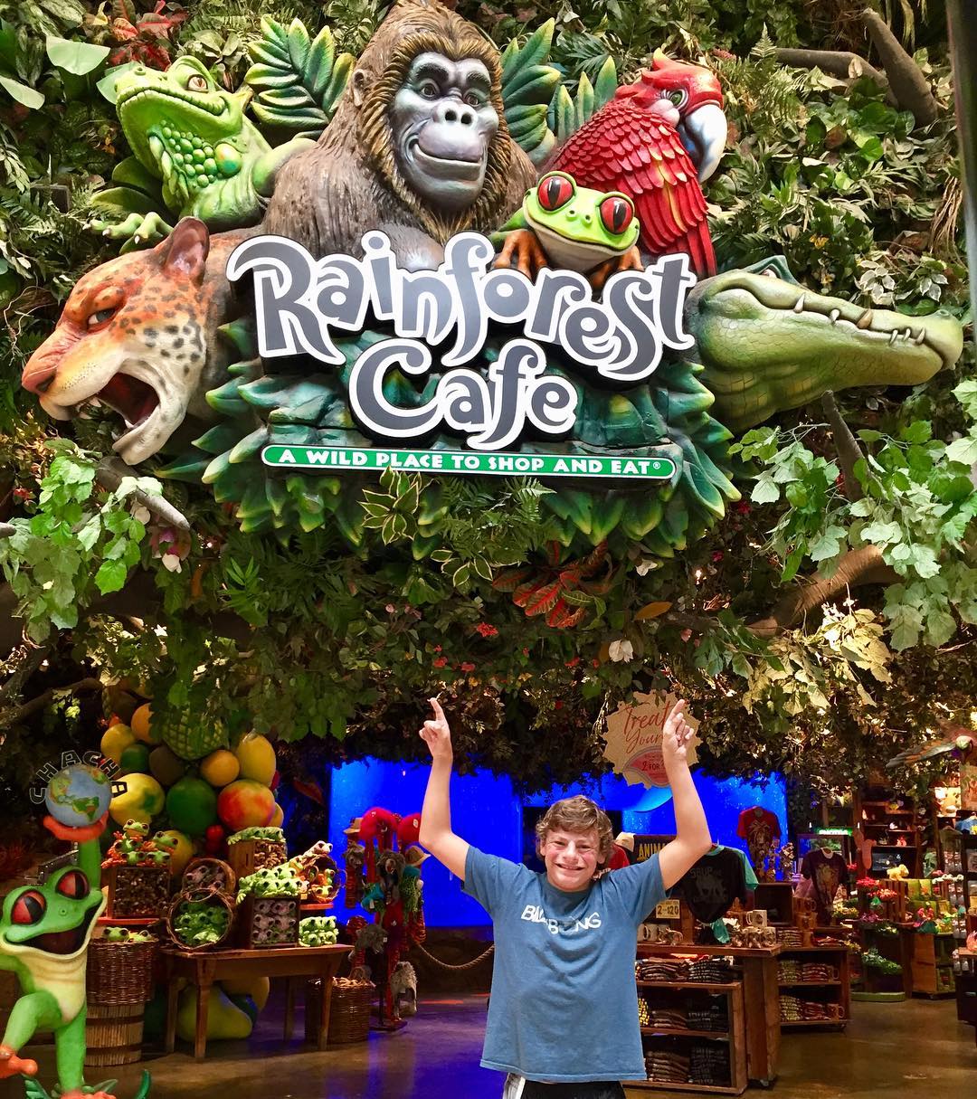 Rainforest Cafe 4810 Mills Cir, Ontario