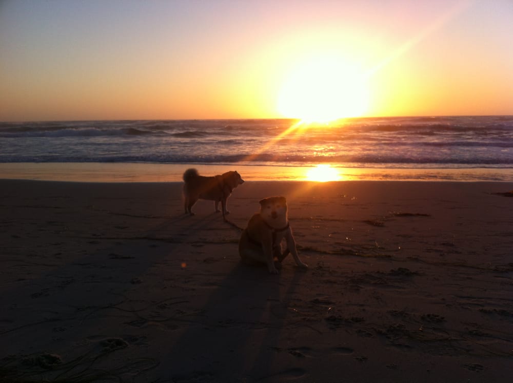 Photo credit: 