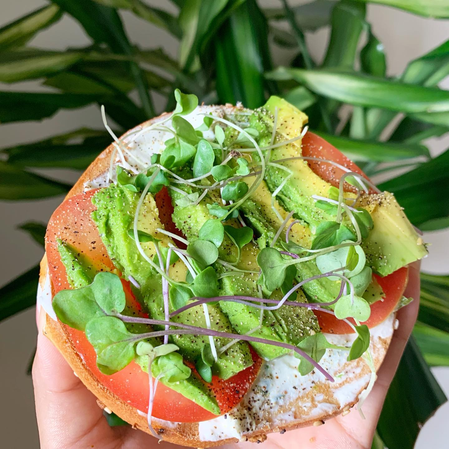 BAGEL KITCHEN 1132 Forest Ave, Pacific Grove