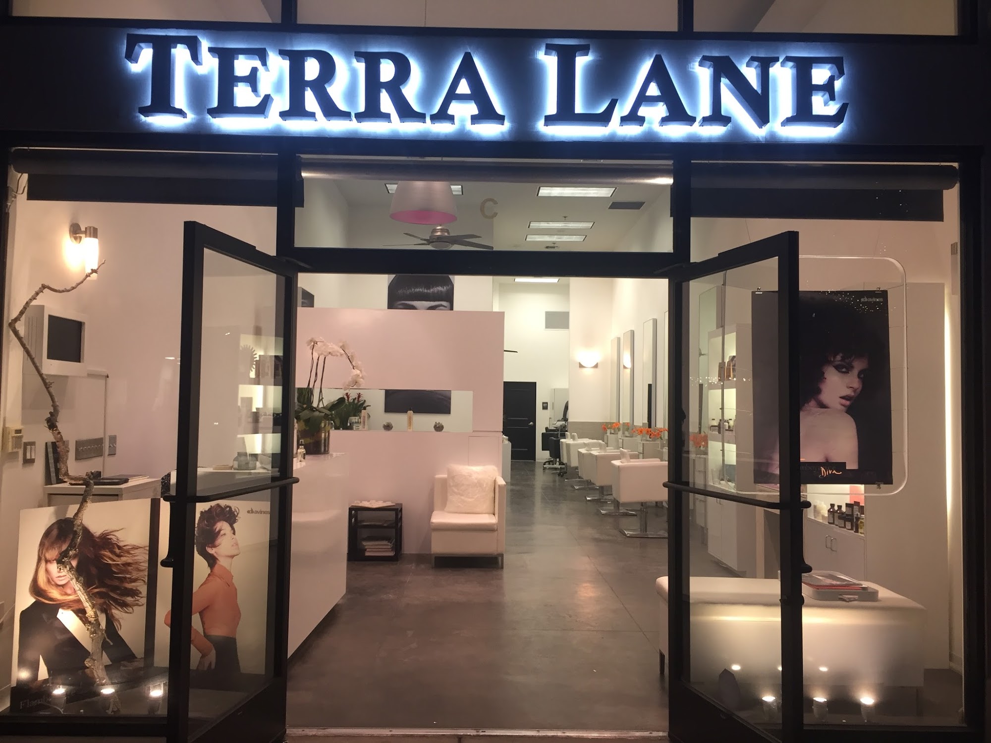 Terra Lane Hair Designs