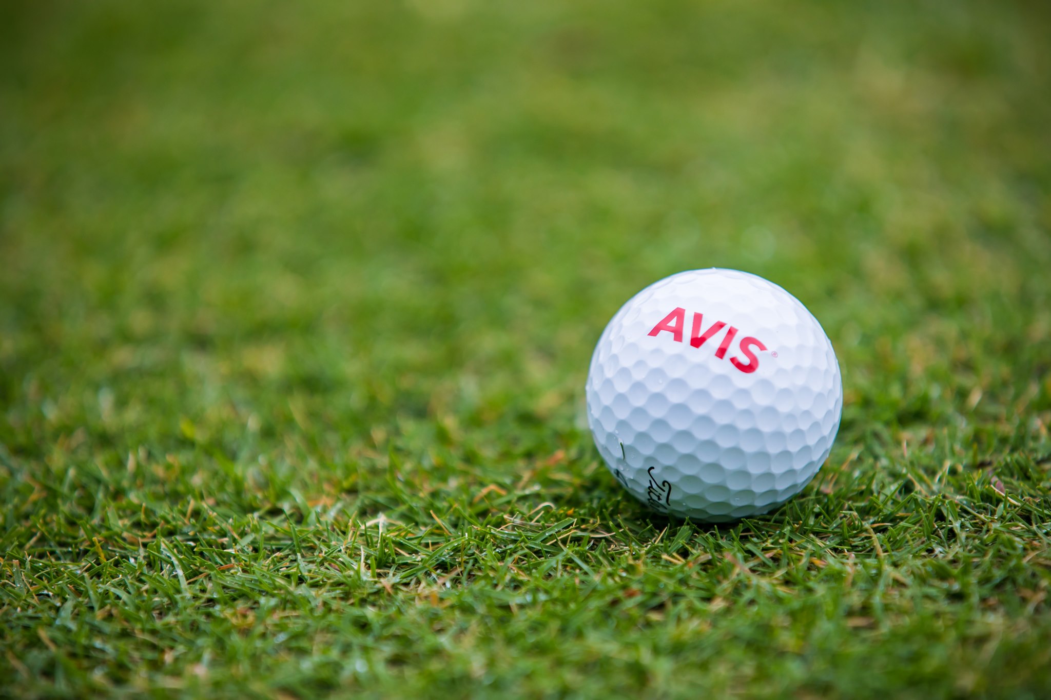 Avis Rent A Car Pasadena