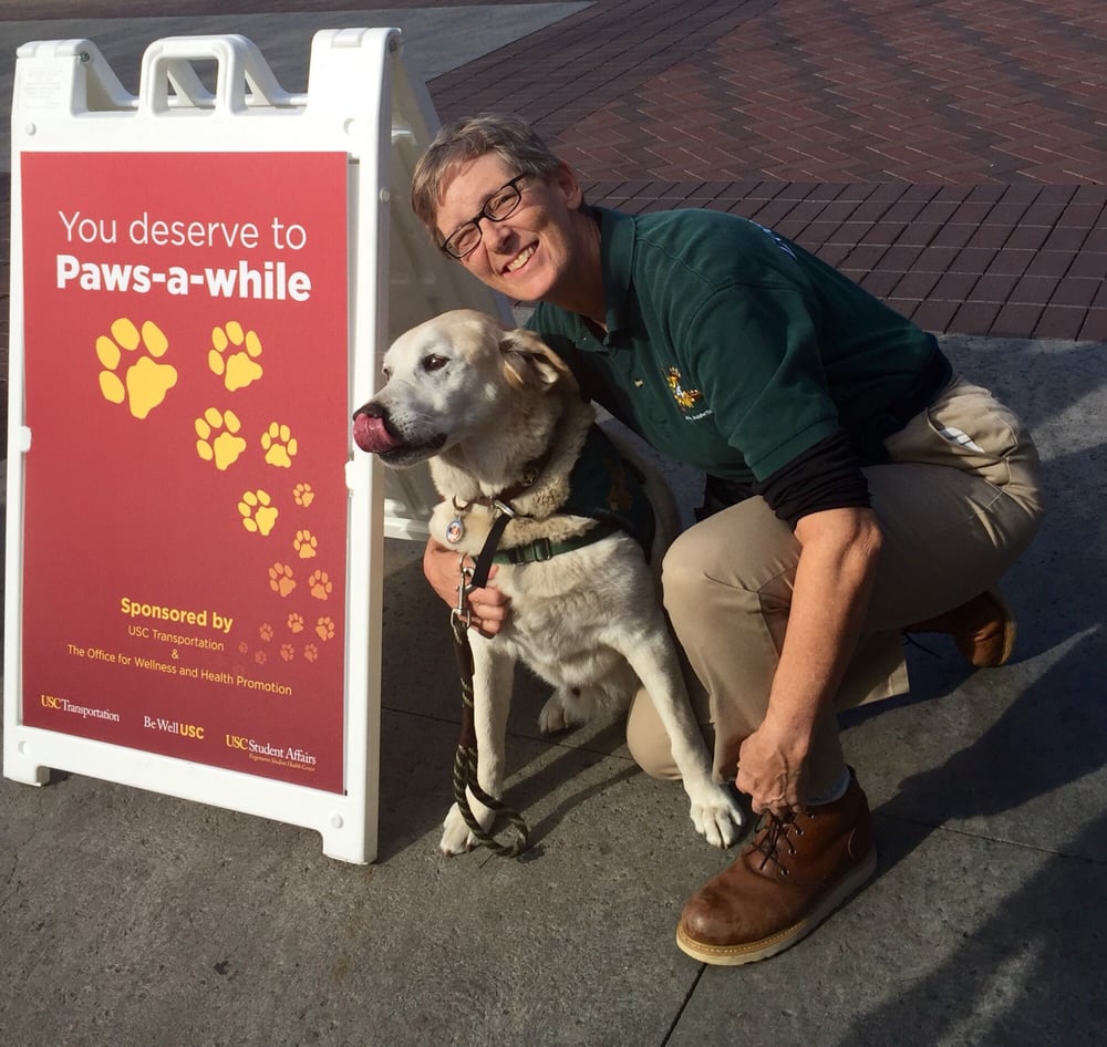 Love On 4 Paws 4005 Via Vico, Rancho Palos Verdes