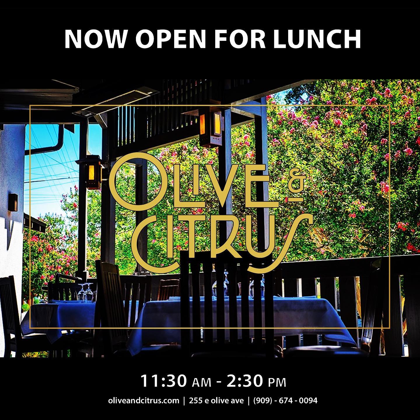 Olive & Citrus 255 E Olive Ave, Redlands