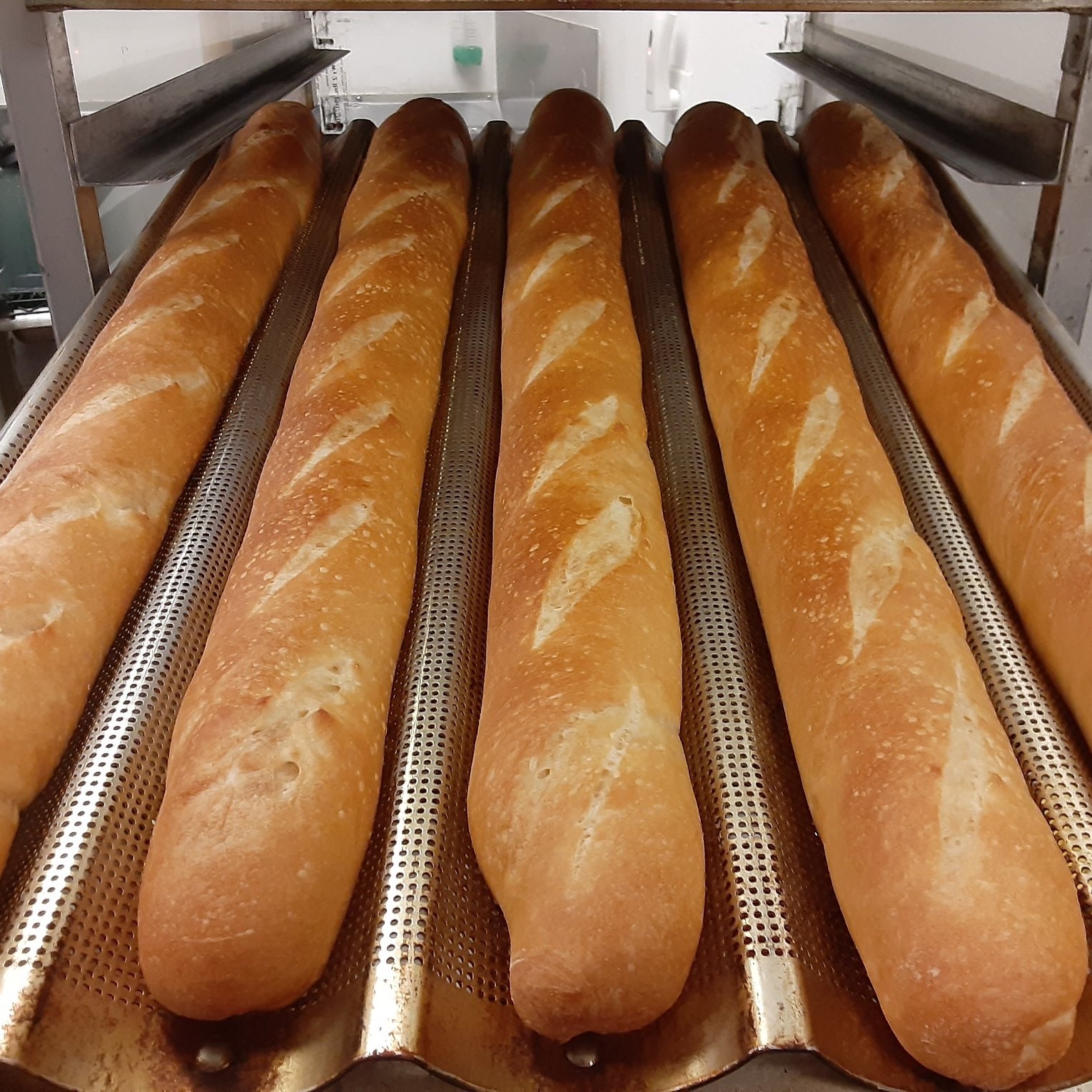 Baguette Express 1689 Kendall Drive, Unit #D, San Bernardino