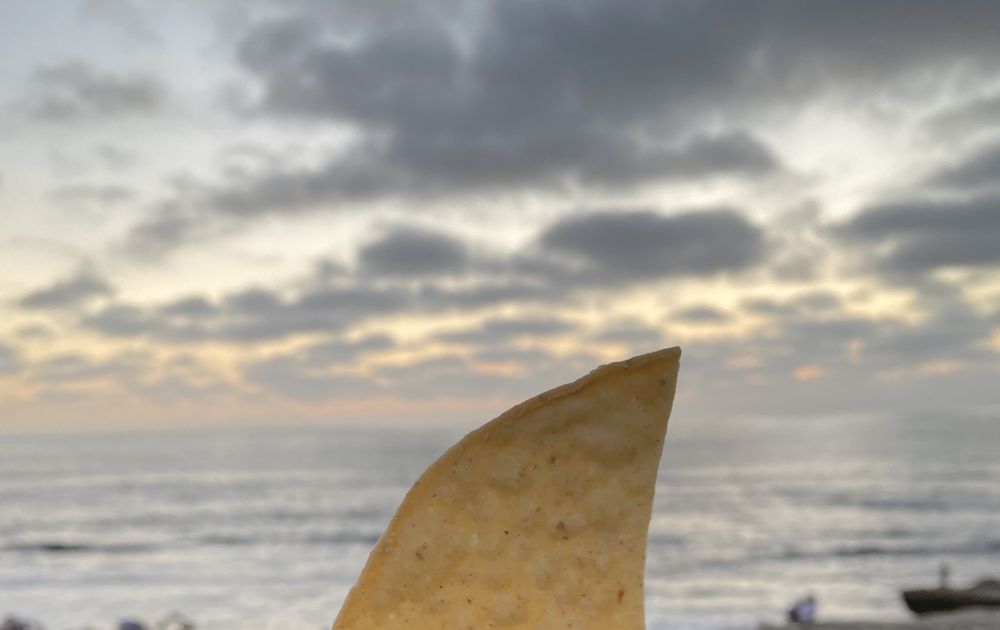 The Taco Stand 621 Pearl St, La Jolla