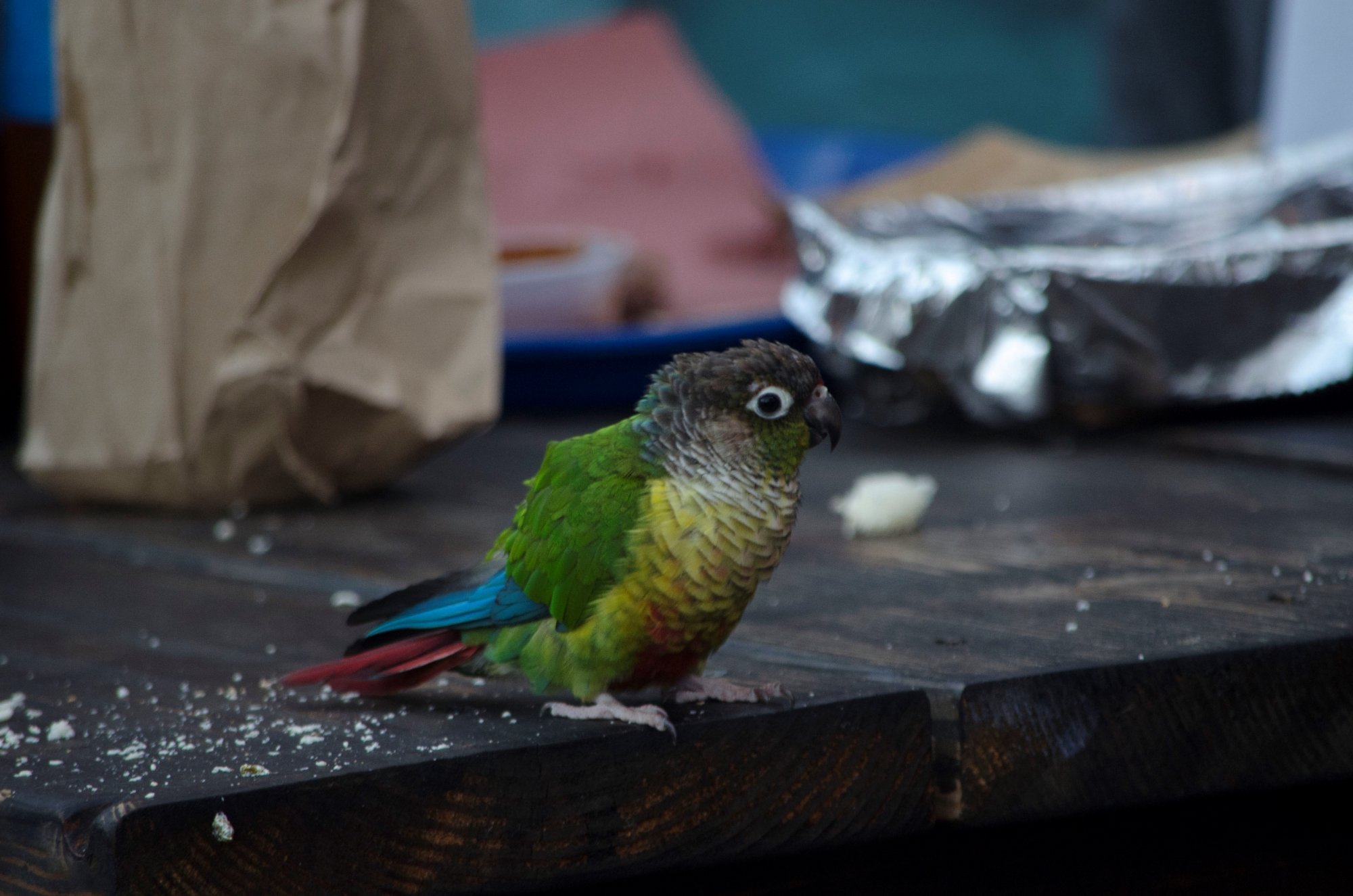 Photo credit: tripadvisor