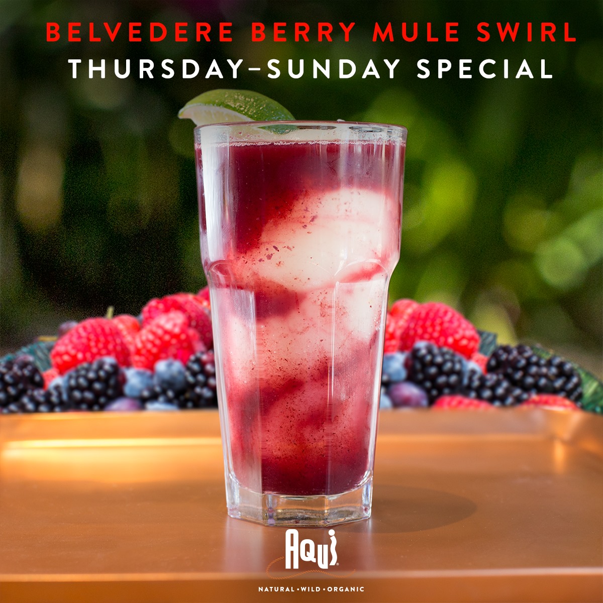 Aqui Willow Glen 1145 Lincoln Ave, San Jose