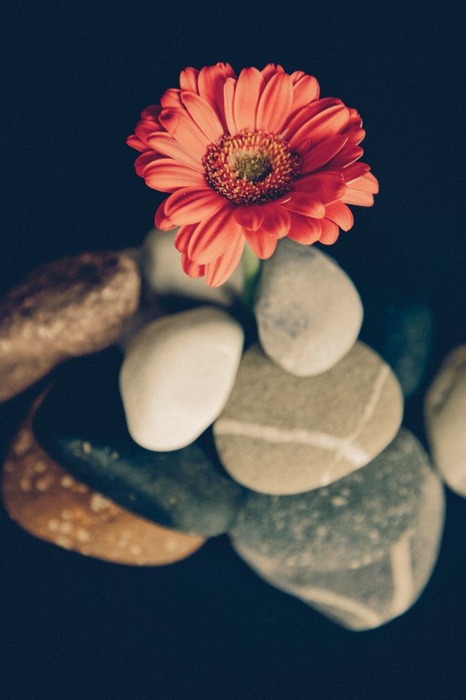 Photo credit: 