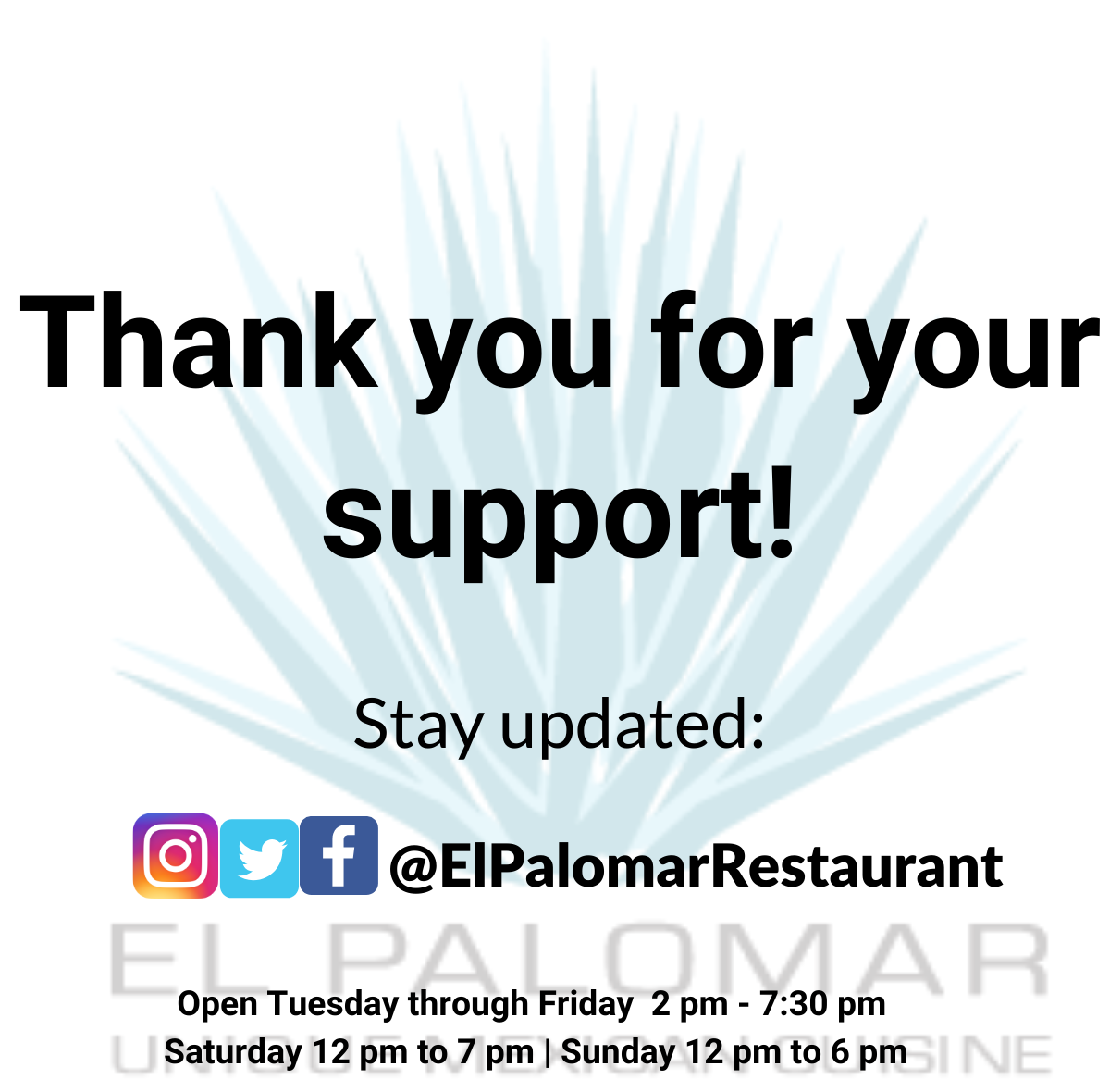 El Palomar 1336 Pacific Ave, Santa Cruz